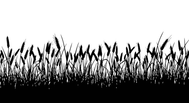 silhouette of wheat field transparent background vector illustration