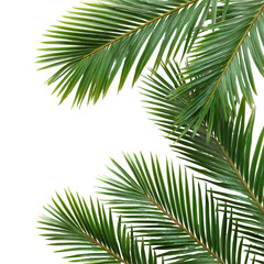 Naklejka premium Green tropical palm leaves create a lush backdrop for a serene and vibrant atmosphere in nature