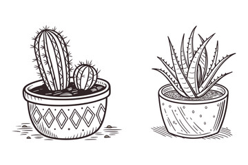 Silhouette Cactus and Succulents in Decorative Pots.