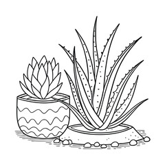 Stylish Aloe and Succulent Plant Pair for Home Décor.
