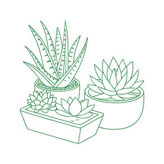 Vibrant Succulent Arrangement for Modern Home Décor.