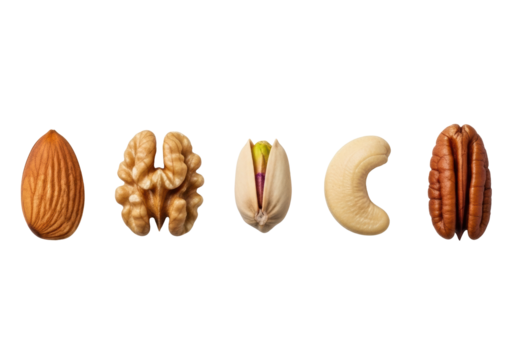 Five distinct shelled nuts precisely aligned on clean gray studio background with soft, shadowless light, ultra-realistic still life, concept of objective comparison.
