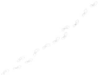 Footprints Trailing Across Dark Expanse isolated on a transparent background shoe prints walking