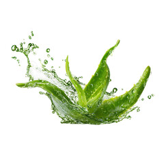 Fresh aloe vera leaves splashing in clear water under bright lighting