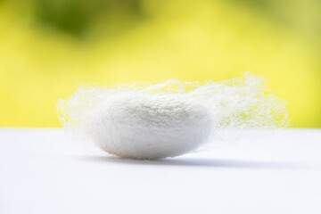 A white silkworm cocoon