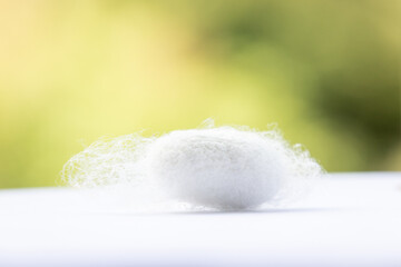 A white silkworm cocoon
