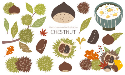 手描きのかわいい栗の素材セット