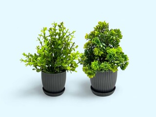 Pair of Artificial Green Plants in Black Ribbed Pots