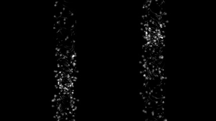 Abstract white light trails flowing against a stark black background, dynamic artistic visuals