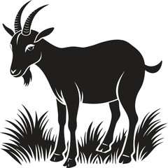 Goat grazing on grass silhouette. Farm animal, livestock, nature, pasture vector isolate on white background