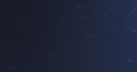 dust particles floating in air with cool light