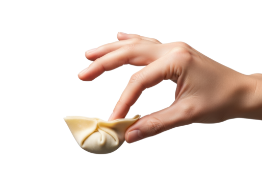 Hand delicately folding translucent wonton with savory filling, seamless transparent background, ultra photorealistic macro product photography, shadowless studio lighting. Concept of culinary art