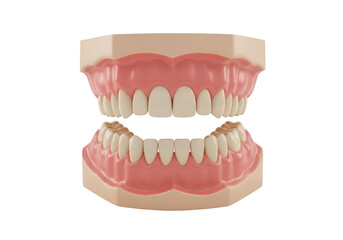 Isolated 3D Render: Full Set of Healthy Human Dentures, Representing Oral Health and Prosthetics
