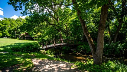 Wooden footbridge over a calm stream in a lush green park