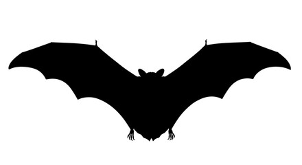 Black bat silhouette wings spread hanging pose ears visible against a plain white background