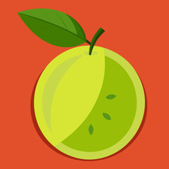 vector illustration of a araza brazilian guava