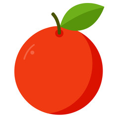 vector illustration of a blood lime fruit