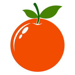 blood orange vector illustration