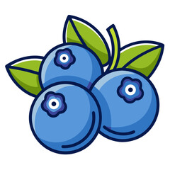blueberry fruit line art on white background