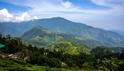 Lush mountain range with tea plantations