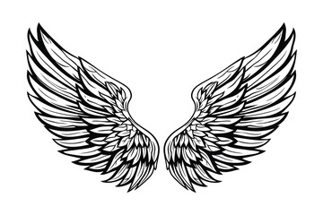 Fototapeta premium Angel wings vector illustration with black feather silhouette design