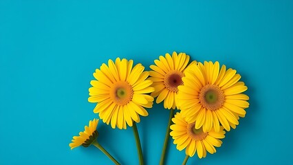 Bright yellow gerbera flowers arranged simply against a deep blue backdrop, evoking spring freshness.