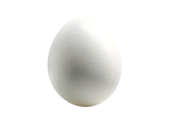 Close-up view of a pristine white egg, showcasing its smooth surface and perfect oval shape. Ideal for culinary themes and food photography projects.