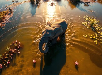 an image of a elephant is wading in a body of water, there is a elephant that is standing in the water with flowers