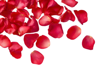 A beautiful arrangement of scattered red rose petals, perfect for romantic themes, elegant decor, or special occasions like weddings and anniversaries.