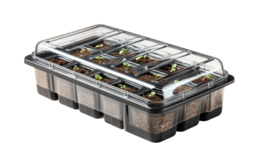 Seedling growth progression in greenhouse plant cultivation isolated on transparent background, png