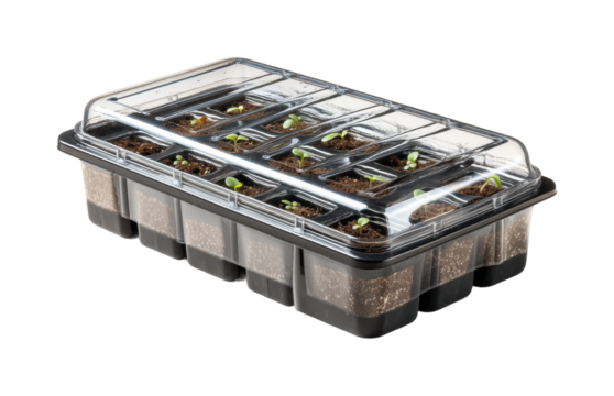 Seedling growth progression in greenhouse plant cultivation isolated on transparent background, png