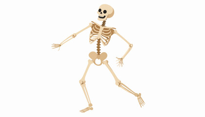 Happy Cartoon Skeleton Running Isolated White Background