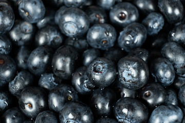 Fresh blueberries in drops of water close-up, berry background