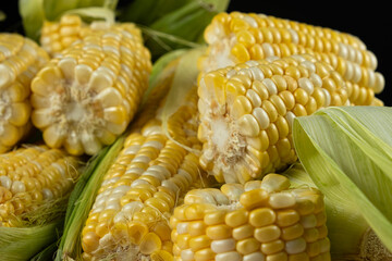 Detailed macro of fresh raw corn cobs