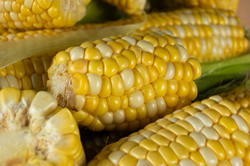 Detailed fresh raw corn cobs with natural texture close-up.