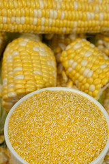 Fresh Corn Cobs with Raw Corn Grits in Bowl