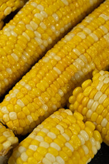 Close-up of cooked corn cobs