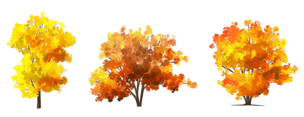 Vector side view ginkgo tree for environment scene in autumn,watercolor tree elevation for landscape concept,environment panorama scene,eco design