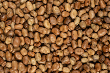 Edible Horse Garden Beans Vicia Faba Macro Top View