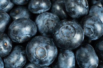 Whole Fresh Blueberries in Pile. Juicy Summer Fruit Texture