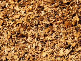 A close-up view of fresh wood chips.