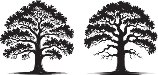 A pair of detailed, hand-drawn silhouettes of two different large, leafy trees.