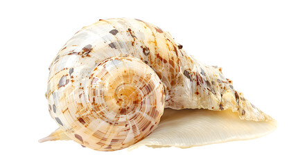 Golden brush strokes of liquid gold paint texture with abstract flowing lines on a white background