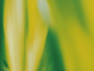 Yellow Leaf Abstract with Blur Effect. Perfect for use as texture, wallpaper, graphic design template, or decorative element with a nature theme.