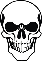 Fototapeta premium Front View Black and White Human Skull Vector Illustration