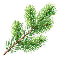 Fototapeta premium A vibrant green pine branch with needles isolated on transparent background