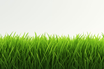 Obraz premium Natural fresh green grass background_3D