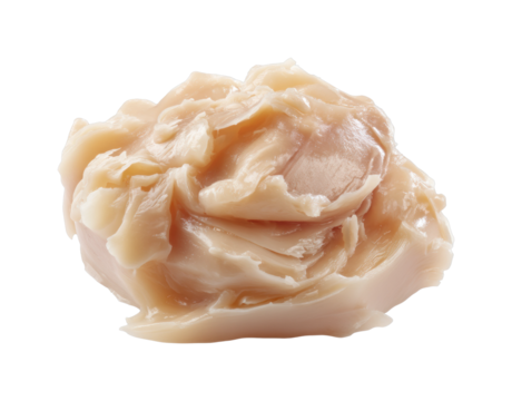 Cooking delicious scallops seafood market food bright isolated on transparent background, png