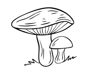 Forest mushrooms. Simple line art illustration of two wild mushrooms, perfect for nature-themed designs, food blogs, or autumn season concepts. Vector illustration	