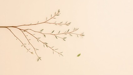 old paper background with branches